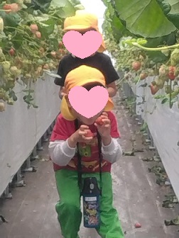 大きいいちご発見!!